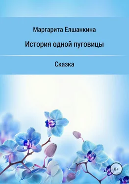 Маргарита Елшанкина История одной пуговицы обложка книги