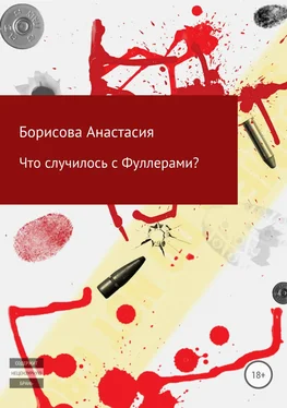 Анастасия Борисова Что случилось с Фуллерами? обложка книги