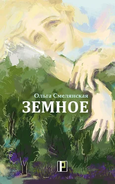 Ольга Смелянская Земное обложка книги