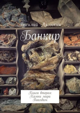 Василий Лягоскин Банкир. Книга вторая: Камни мира Ваалдам обложка книги