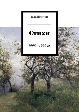 Василий Шлепин Стихи 1998—1999 гг. обложка книги