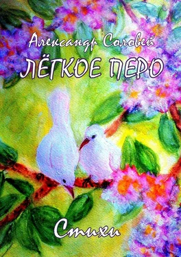 Александр Соловей Лёгкое перо обложка книги