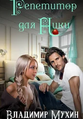Владимир Мухин - Репетитор для Ники