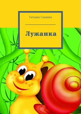 Татьяна Славина Лужанка обложка книги