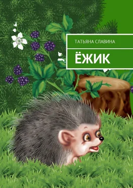 Татьяна Славина Ёжик обложка книги