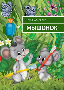 Татьяна Славина Мышонок обложка книги