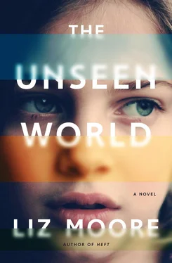 Liz Moore The Unseen World обложка книги