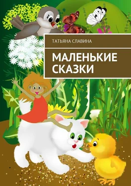 Татьяна Славина Маленькие сказки обложка книги