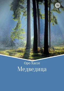 Оро Хассе Медведица обложка книги