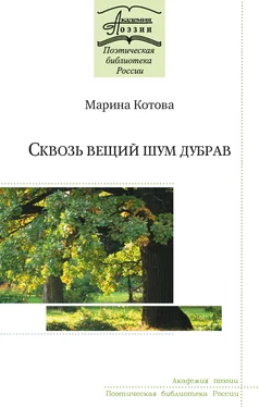 Марина Котова Сквозь вещий шум дубрав обложка книги