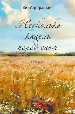 Виктор Травкин Несколько капель перед сном (сборник) обложка книги