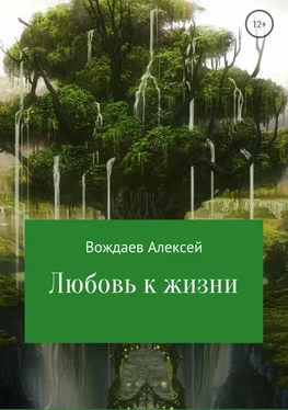 Алексей Вождаев Любовь к жизни обложка книги