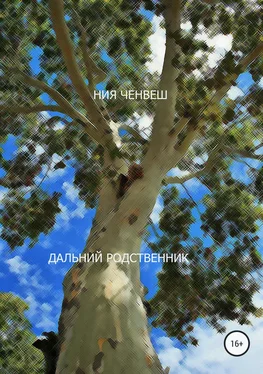 Ния Ченвеш Дальний родственник обложка книги