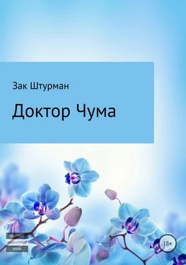 Зак Штурман Доктор Чума обложка книги