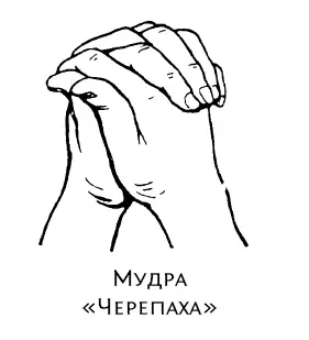 Выполнениебольшие пальцы обеих рук прижаты к внутренней поверхности ладони - фото 98