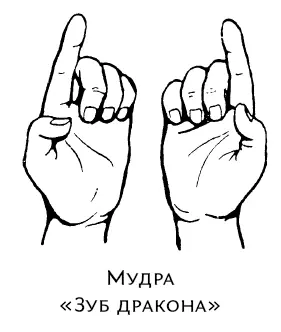 Выполнениебольшие пальцы обеих рук прижаты к внутренней поверхности ладони - фото 99