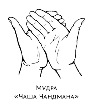 Нельзя делать в присутствии других людей Свободных пальцев стихий нет Процесс - фото 100