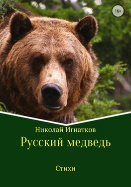 Николай Игнатков Русский медведь. Сборник стихотворений обложка книги