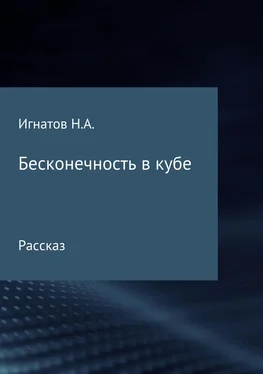 Николай Игнатов Бесконечность в кубе обложка книги