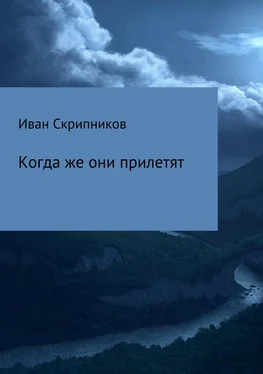 Иван Скрипников Когда же они прилетят обложка книги