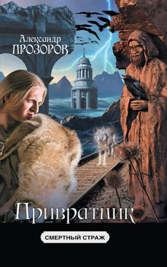 Александр Прозоров Привратник обложка книги