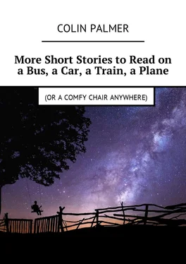 Colin Palmer More Short Stories to Read on a Bus, a Car, a Train, a Plane (or a comfy chair anywhere) обложка книги