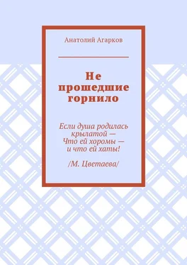 Анатолий Агарков Не прошедшие горнило обложка книги