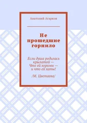 Анатолий Агарков - Не прошедшие горнило
