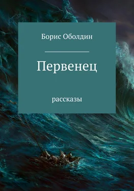 Борис Оболдин Первенец. Сборник рассказов обложка книги