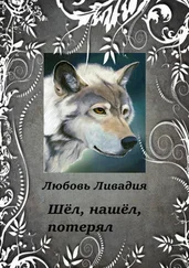Любовь Ливадия - Шёл, нашёл, потерял