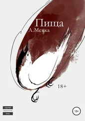 Алексей Мекка - Пища