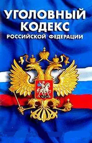 Рис 12 Уголовный кодекс далее УК РФ определяет уголовную ответственность - фото 15