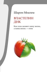 Шарон Моалем - Властелин ДНК. Как гены меняют нашу жизнь, а наша жизнь – гены