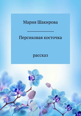 Мария Шакирова Персиковая косточка обложка книги
