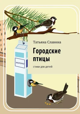 Татьяна Славина Городские птицы. Cтихи для детей обложка книги