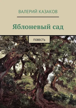 Валерий Казаков Яблоневый сад. Повесть обложка книги
