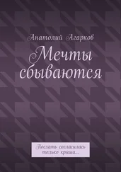 Анатолий Агарков - Мечты сбываются. Поехать согласилась только крыша…