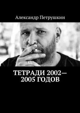 Александр Петрушкин Тетради 2002—2005 годов обложка книги