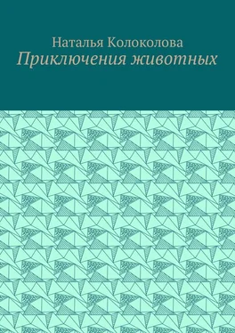 Наталья Колоколова Приключения животных обложка книги