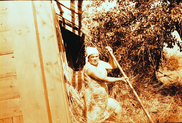 Солома с крыши сброшена Ее убирает приехавшая в гости жена старшего сына - фото 2