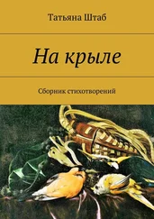 Татьяна Штаб - На крыле. Сборник стихотворений