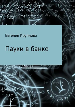 Евгения Крупнова Пауки в банке обложка книги