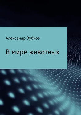 Александр Зубков В мире животных обложка книги