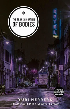 Yuri Herrera The Transmigration of Bodies обложка книги