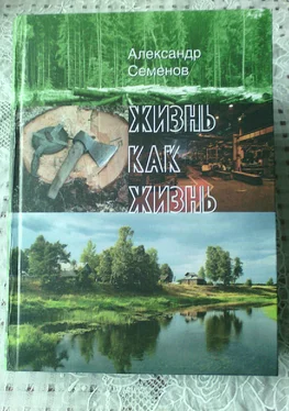 Александр Семенов Жизнь как жизнь обложка книги