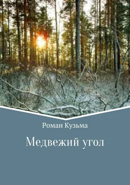 Роман Кузьма Медвежий угол обложка книги