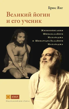 Брюс Янг Великий йогин и его ученик. Жизнеописания Шивабалайоги Махараджа и Шиварудра Балайоги Махараджа обложка книги