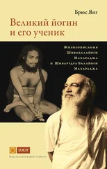 Брюс Янг - Великий йогин и его ученик. Жизнеописания Шивабалайоги Махараджа и Шиварудра Балайоги Махараджа