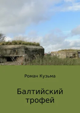 Роман Кузьма Балтийский трофей обложка книги