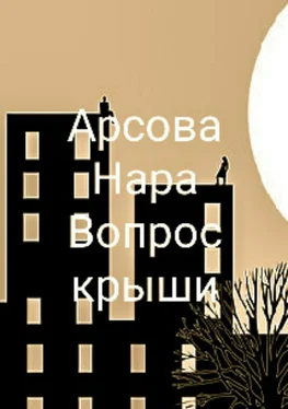 Нара Арсова Вопрос крыши обложка книги